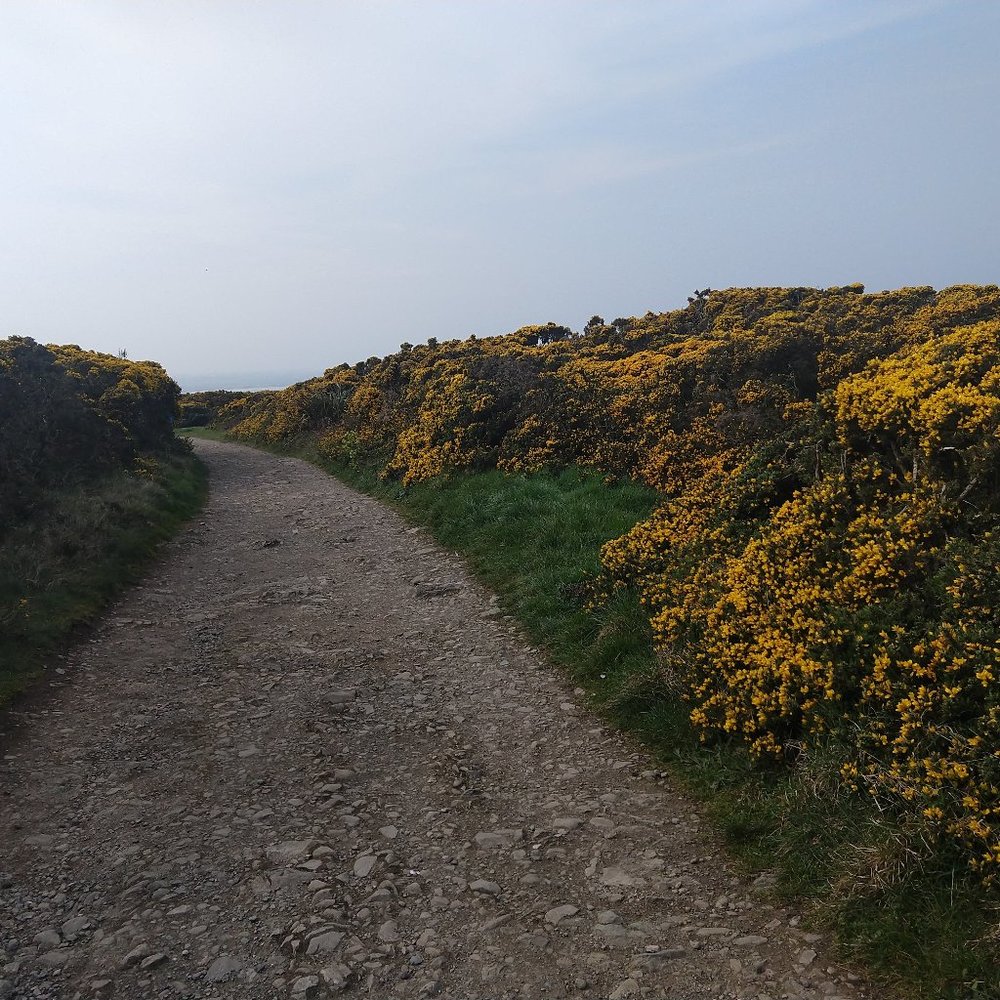 Meet your Posher, Bernadette